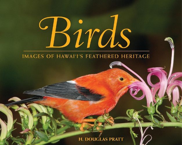 Cover image for Birds: Images of Hawaii's Feathered Heritage