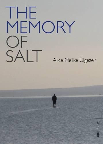 Cover image for Memory Of Salt