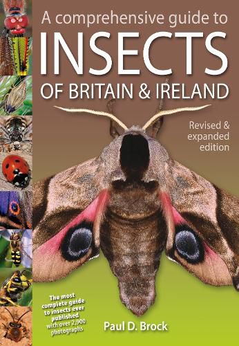 Cover image for A Comprehensive Guide to Insects of Britain and Ireland