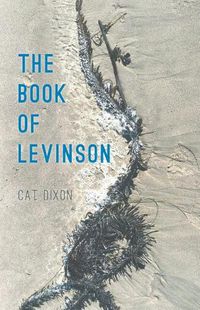 Cover image for The Book of Levinson