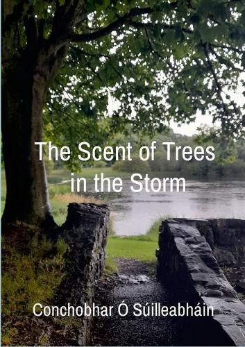 Cover image for The Scent of Trees in the Storm