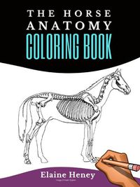 Cover image for Horse Anatomy Coloring Book For Adults