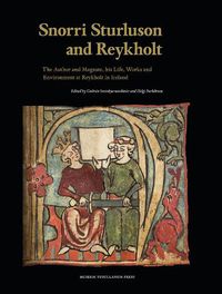 Cover image for Snorri Sturluson and Reykholt: The Author and Magnate, his Life, Works and Environment at Reykholt in Iceland