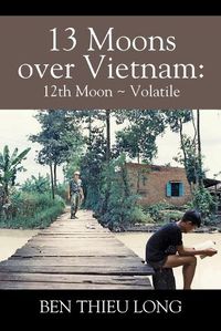Cover image for 13 Moons Over Vietnam