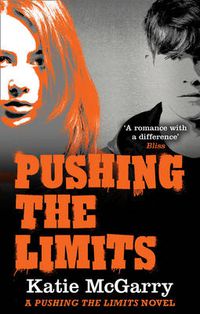 Cover image for Pushing the Limits