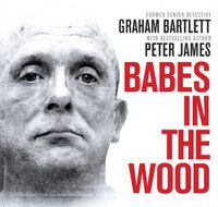 Cover image for Babes In The Wood