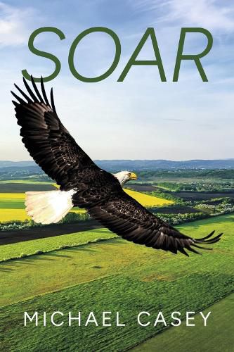 Cover image for Soar