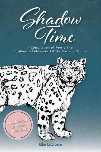 Cover image for Shadow Time