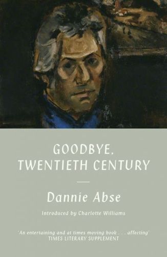 Cover image for Goodbye, 20th Century