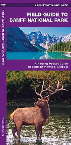 Cover image for Banff National Park, Field Guide to: A Folding Pocket Guide to Familiar Species