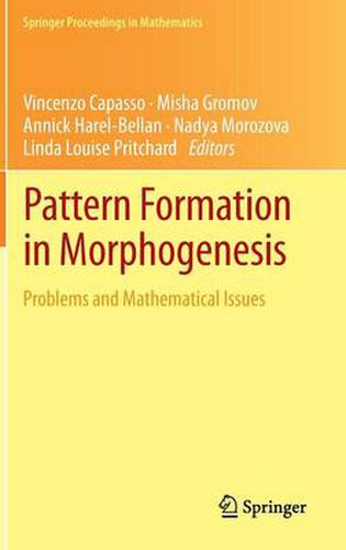 Cover image for Pattern Formation in Morphogenesis: Problems and Mathematical Issues