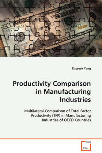 Cover image for Productivity Comparison in Manufacturing Industries