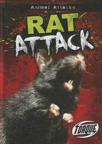 Cover image for Torque Series: Animal Attack: Rat Attack