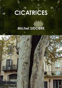 Cover image for Cicatrices