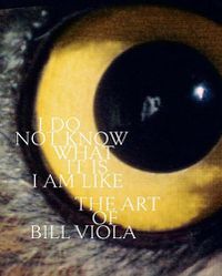 Cover image for I Do Not Know What It Is I Am Like: The Art of Bill Viola