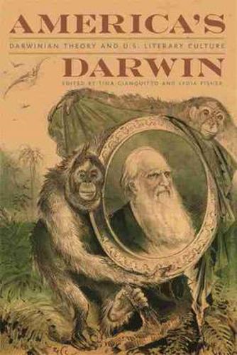 Cover image for America's Darwin: Darwinian Theory and U.S. Literary Culture
