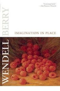 Cover image for Imagination in Place