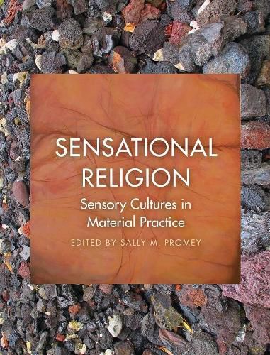 Cover image for Sensational Religion: Sensory Cultures in Material Practice