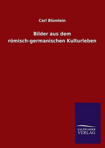 Cover image for Bilder aus dem roemisch-germanischen Kulturleben