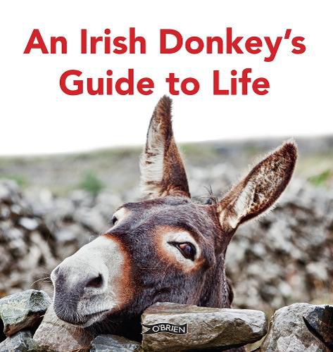 Cover image for An Irish Donkey's Guide to Life