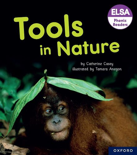 Cover image for ELSA Phonic Readers Tools in Nature