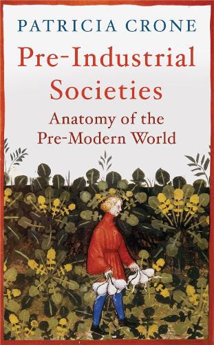 Cover image for Pre-Industrial Societies: Anatomy of the Pre-Modern World