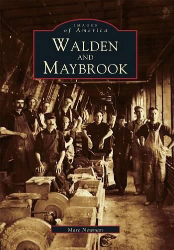 Cover image for Walden and Maybrook