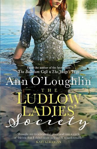 Cover image for The Ludlow Ladies' Society