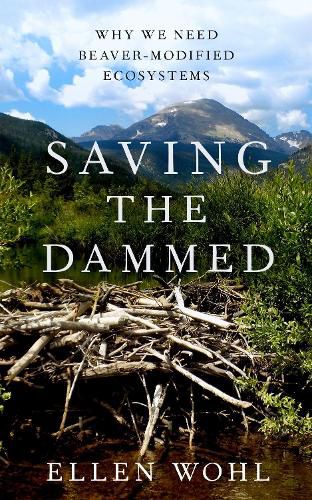 Saving the Dammed: Why We Need Beaver-Modified Ecosystems