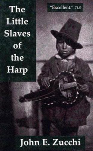 Cover image for The Little Slaves of the Harp: Italian Child Street Musicians in Nineteenth-Century Paris, London, and New York