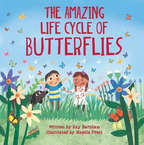 Cover image for The Amazing Life Cycle of Butterflies