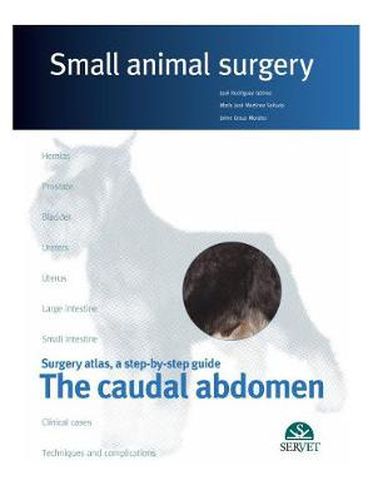 Cover image for The caudal abdomen. Small animal surgery