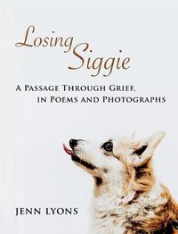Cover image for Losing Siggie