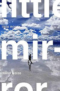 Cover image for Little Mirror