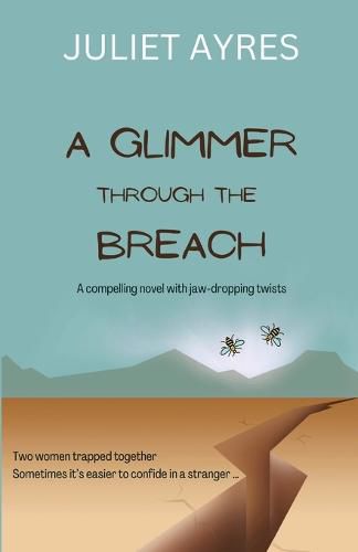 Cover image for A Glimmer Through the Breach