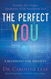 Cover image for The Perfect You - A Blueprint for Identity