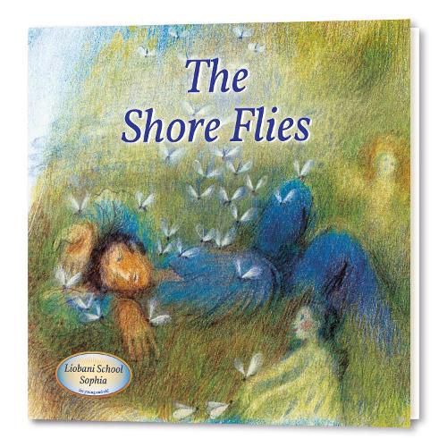 Cover image for The Shore Flies