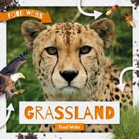 Cover image for Grassland Food Webs