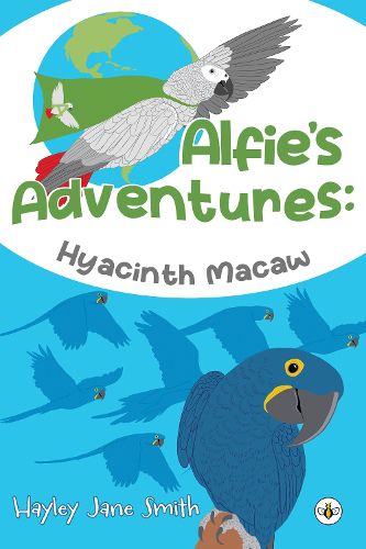 Alfie's Adventures - Hyacinth Macaw