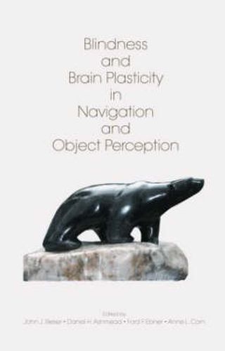 Cover image for Blindness and Brain Plasticity in Navigation and Object Perception