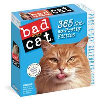 Cover image for Bad Cat Page-A-Day Calendar 2023