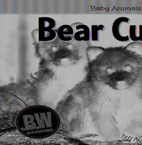 Bear Cubs