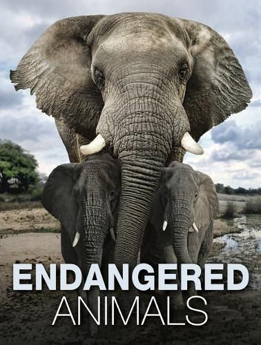 Cover image for Endangered Animals