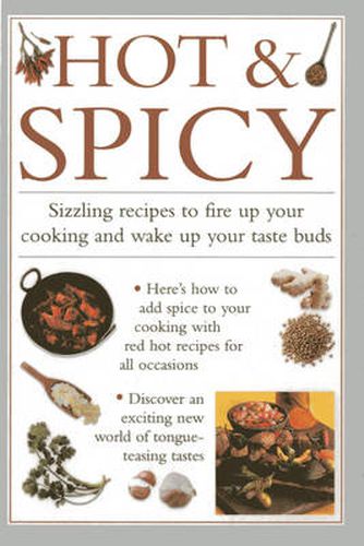 Cover image for Hot & Spicy: Sizzling Recipes to Fire Up Your Cooking and Wake Up Your Tastebuds