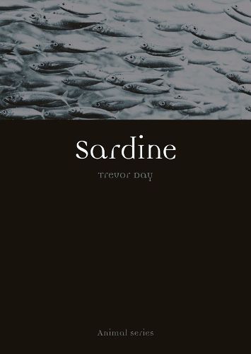 Cover image for Sardine