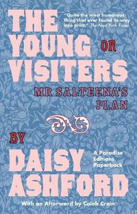 Cover image for The Young Visiters