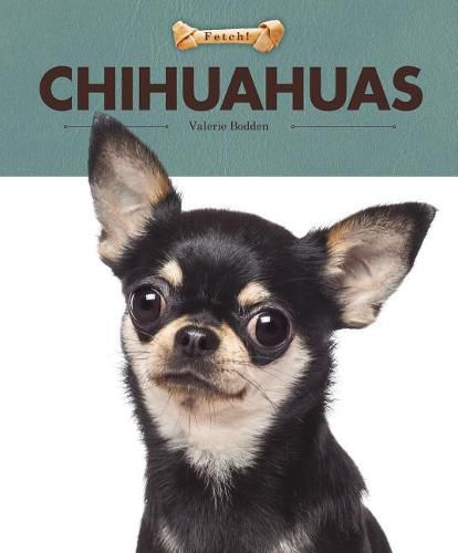 Cover image for Chihuahuas