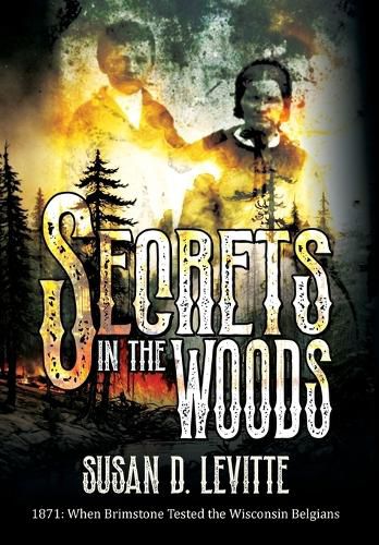 Cover image for Secrets in the Woods