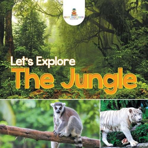 Cover image for Let's Explore the Jungle