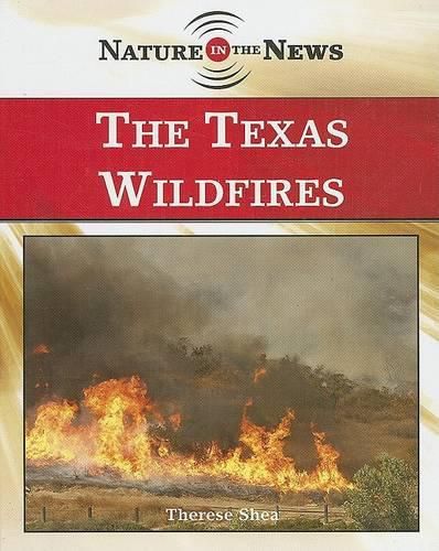 The Texas Wildfires